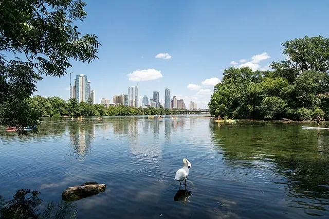 Read more about the article What They Don’t Tell You About Austin, TX